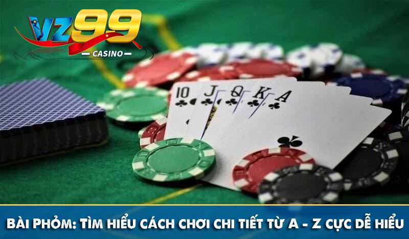 Bài Phỏm: Tìm hiểu cách chơi chi tiết từ A - Z cực dễ hiểu 7 Bài Phỏm: Tìm hiểu cách chơi chi tiết từ A - Z cực dễ hiểu