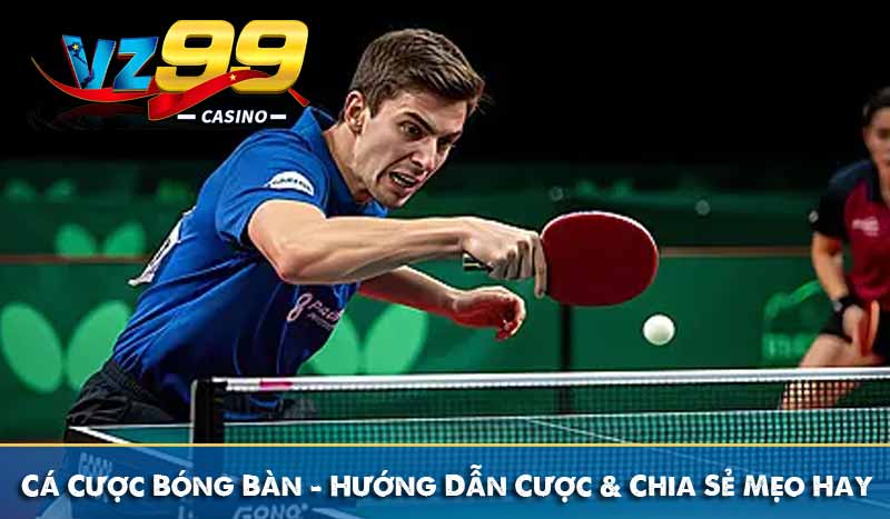 Cá Cược Bóng Bàn - Hướng Dẫn Cược & Chia Sẻ Mẹo Hay Mới Nhất 7 cá cươc bóng bàn hướng dẫn cược và chia sẻ mẹo hay
